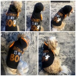 Pet Halloween Costume 
Multiple sizes available